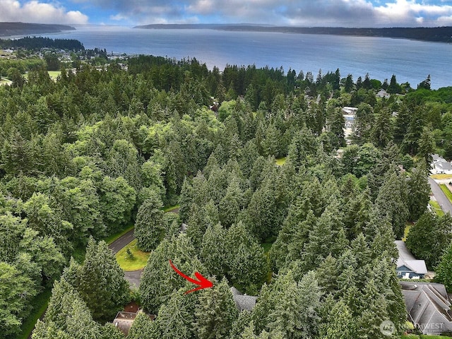 1180 Cedar Cir, Langley, WA 98260 - aerial view of property and surrounding area with a large body of water and a heavily wooded area