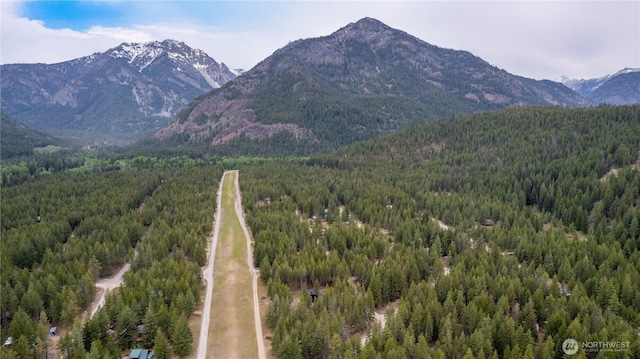 11 Littell, Mazama, WA 98833