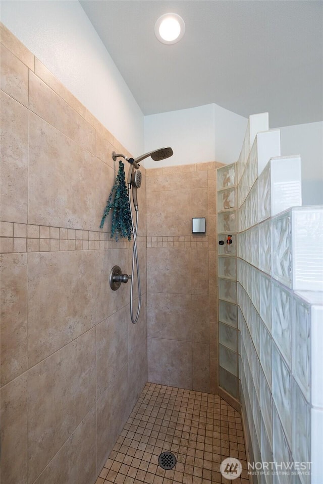 bathroom with a walk in shower