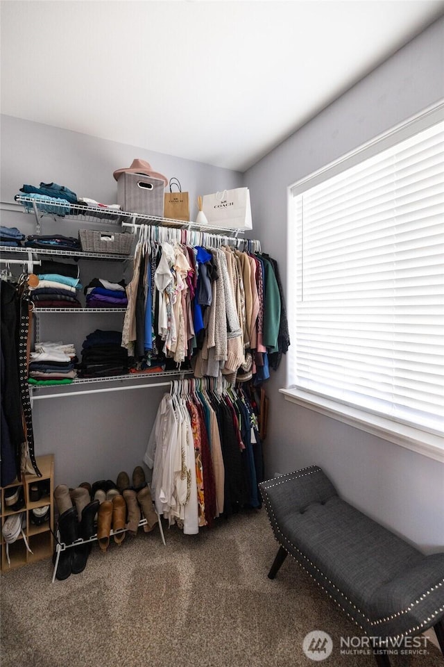 walk in closet with carpet