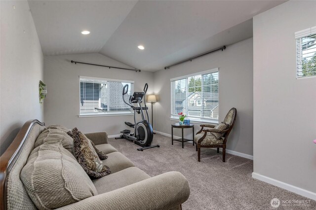 workout room featuring carpet flooring, recessed lighting, baseboards, and vaulted ceiling