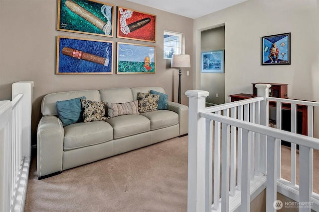 bedroom with carpet flooring