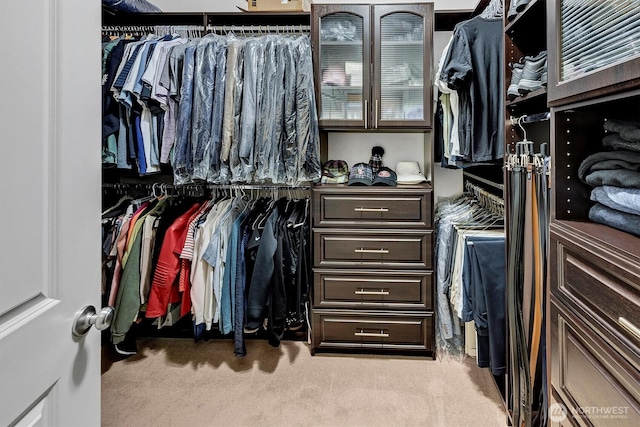 spacious closet featuring carpet flooring