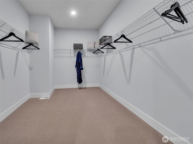 spacious closet featuring visible vents and light carpet