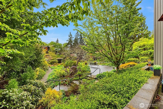 view of property's community with a patio area