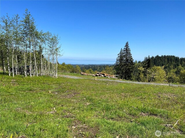 9999 Half Mile Rd, Lot C, Port Angeles, WA 98362 - photo 5