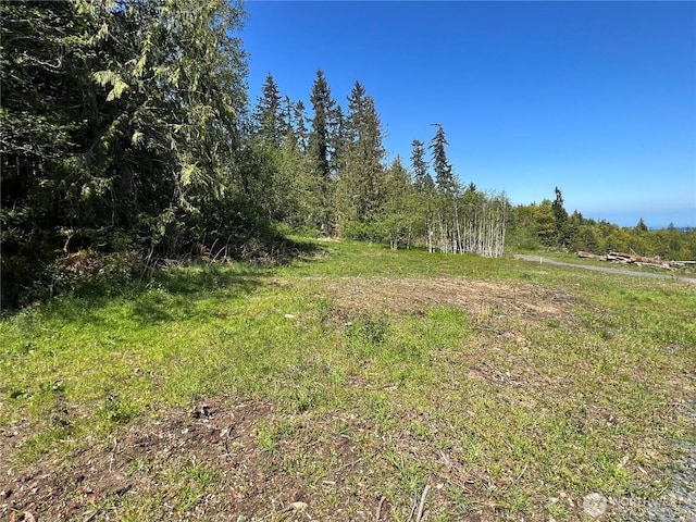 9999 Half Mile Rd, Lot C, Port Angeles, WA 98362 - photo 6