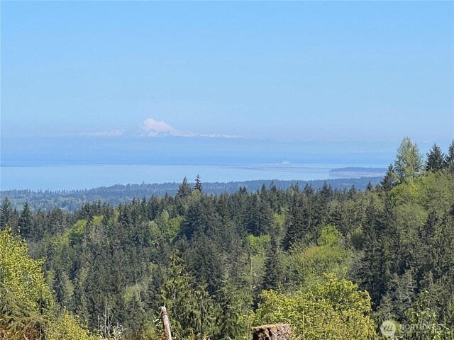 9999 Half Mile Rd, Lot C, Port Angeles, WA 98362 - photo 1