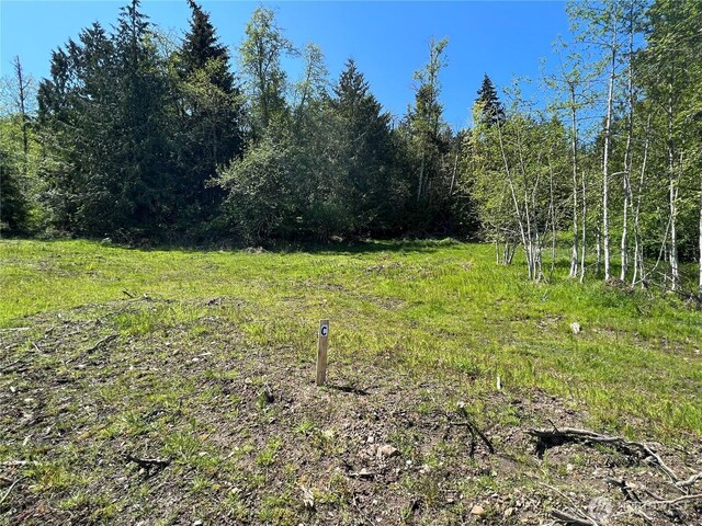 9999 Half Mile Rd, Lot C, Port Angeles, WA 98362 - photo 4