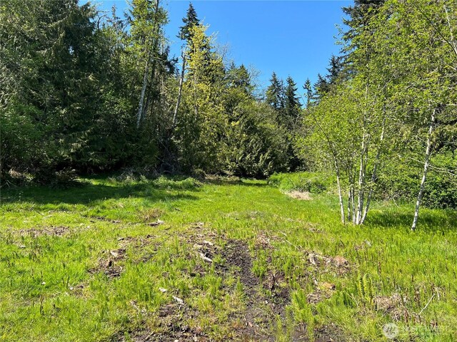 9999 Half Mile Rd, Lot C, Port Angeles, WA 98362 - photo 7