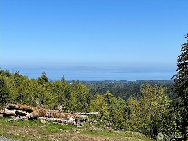 9999 Half Mile Rd, Lot C, Port Angeles, WA 98362 - photo 8