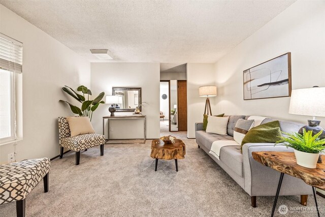 carpeted living area with a textured ceiling