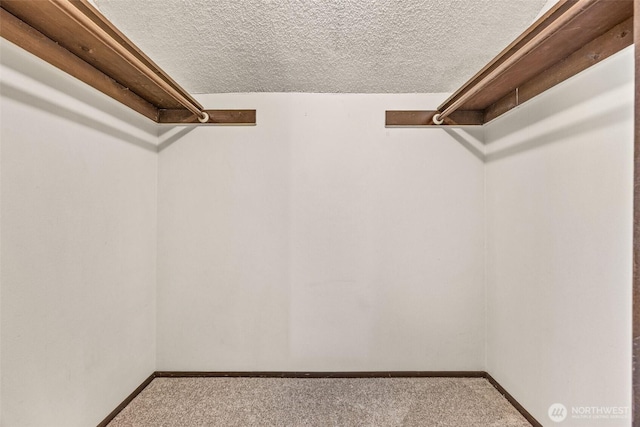 walk in closet with carpet floors
