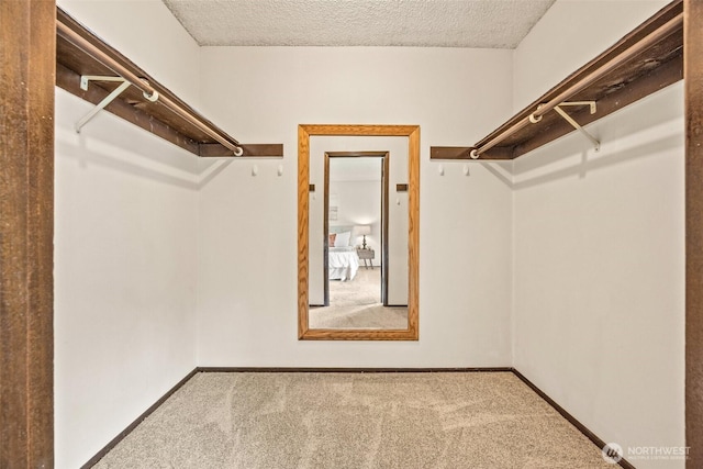 walk in closet featuring carpet floors