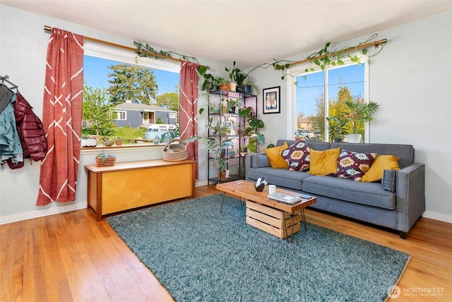 living room with wood finished floors and baseboards