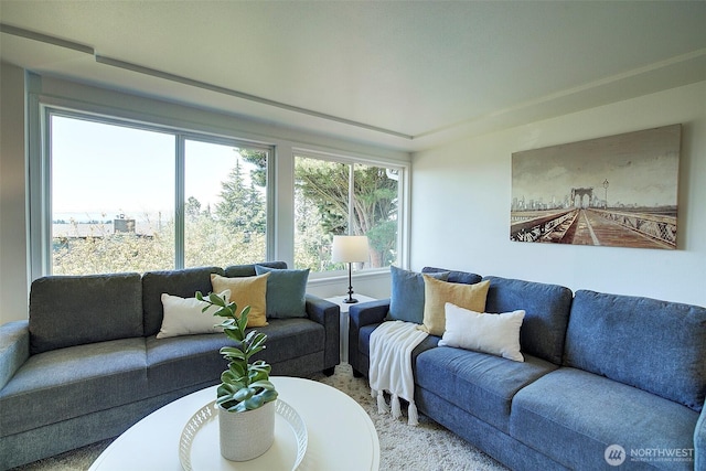 living area featuring carpet
