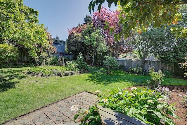 view of yard featuring a fenced backyard