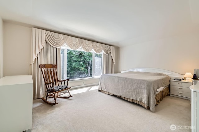 20933 37th Ave SE, Bothell, WA 98021 - bedroom with light carpet