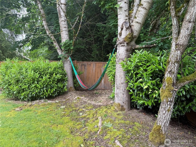 20933 37th Ave SE, Bothell, WA 98021 - view of yard