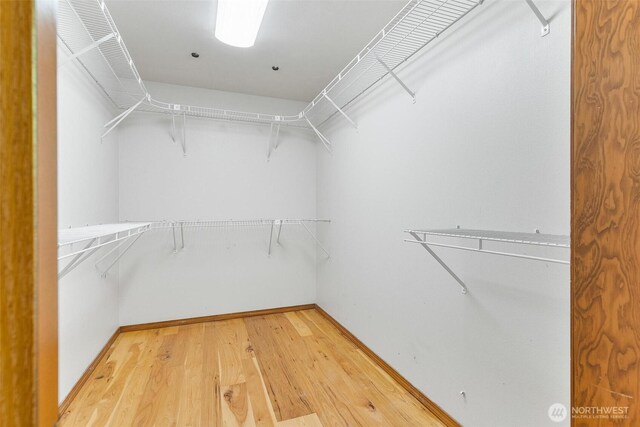 walk in closet with light wood-style floors