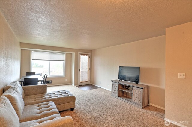 living room featuring baseboards, carpet flooring, and a textured ceiling