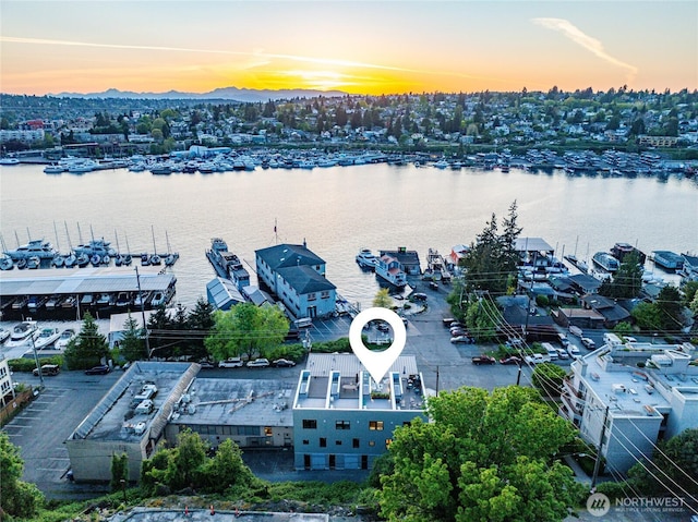 115 E Allison St, Seattle, WA 98102 - aerial view at dusk with a water view