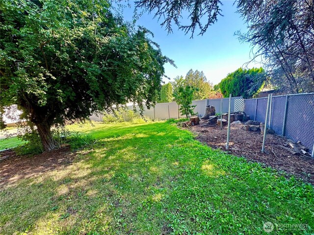 view of yard with a fenced backyard