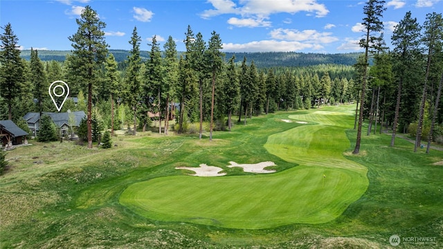 330 Maple Leaf Loop, Cle Elum, WA 98922 - view of home's community with golf course view and a forest view