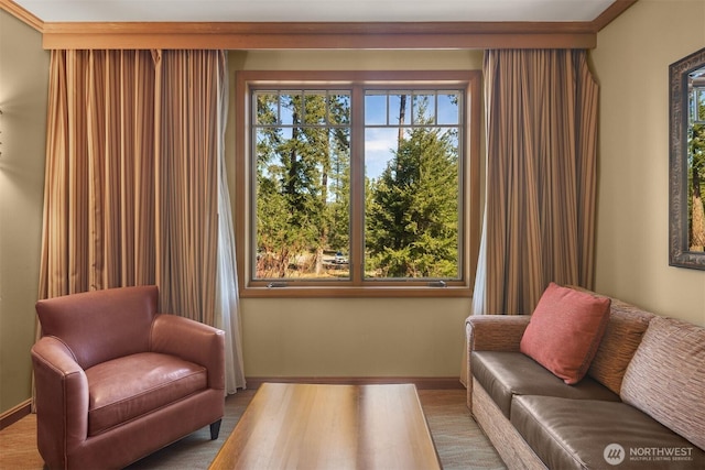 3600 Suncadia Trl Unit 3020, Cle Elum, WA 98922 - living area with baseboards, plenty of natural light, and wood finished floors