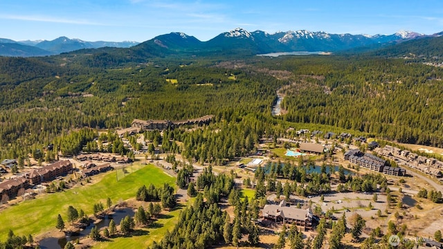 3600 Suncadia Trl Unit 3020, Cle Elum, WA 98922 - bird's eye view with a mountain view and a forest view