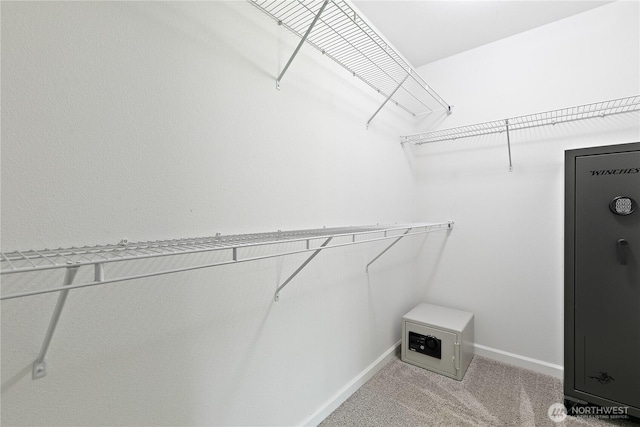 15627 240th St E, Graham, WA 98338 - walk in closet with light carpet