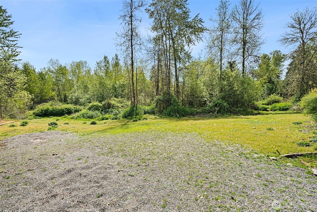 33415 82nd Ave S, Roy, WA 98580 - photo 18