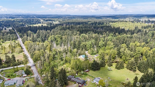 33415 82nd Ave S, Roy, WA 98580 - photo 29