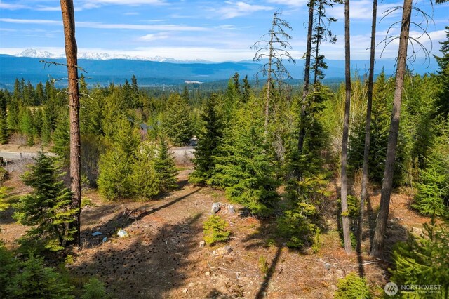 4 Snow Ridge Dr, Cle Elum, WA 98922