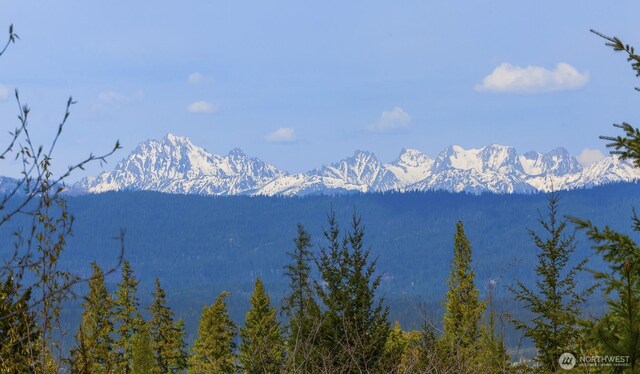 4 Snow Ridge Dr, Cle Elum, WA 98922
