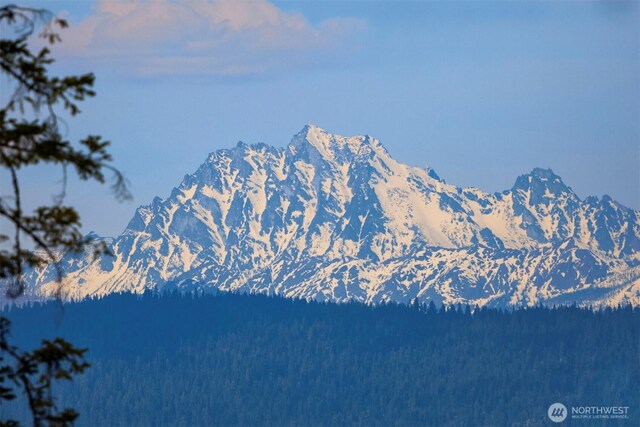 4 Snow Ridge Dr, Cle Elum, WA 98922