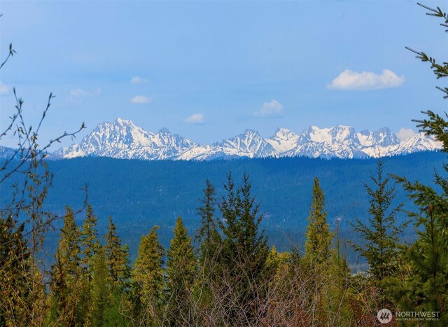 4 Snow Ridge Dr, Cle Elum, WA 98922