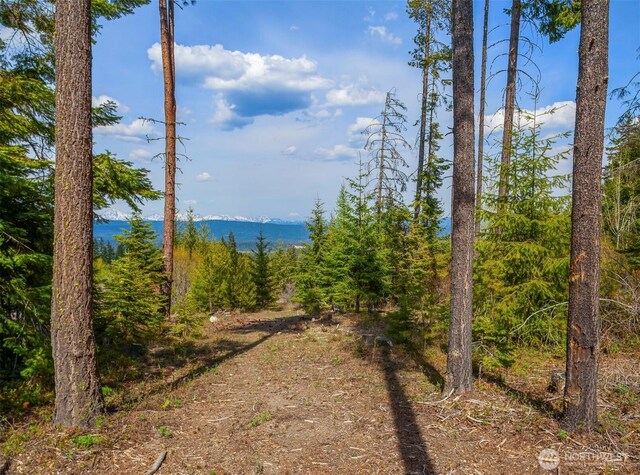4 Snow Ridge Dr, Cle Elum, WA 98922