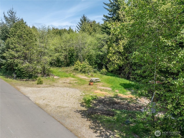 14 Holly Ln, Pacific Beach, WA 98571