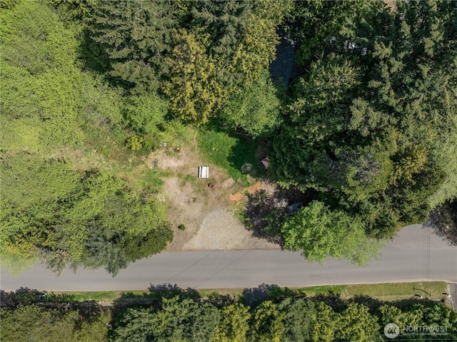 14 Holly Ln, Pacific Beach, WA 98571