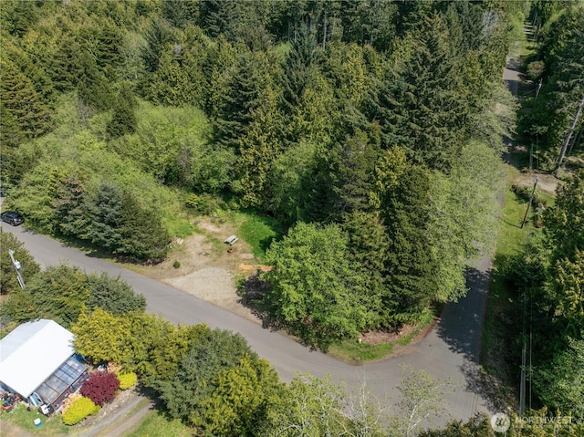 14 Holly Ln, Pacific Beach, WA 98571