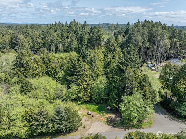 14 Holly Ln, Pacific Beach, WA 98571