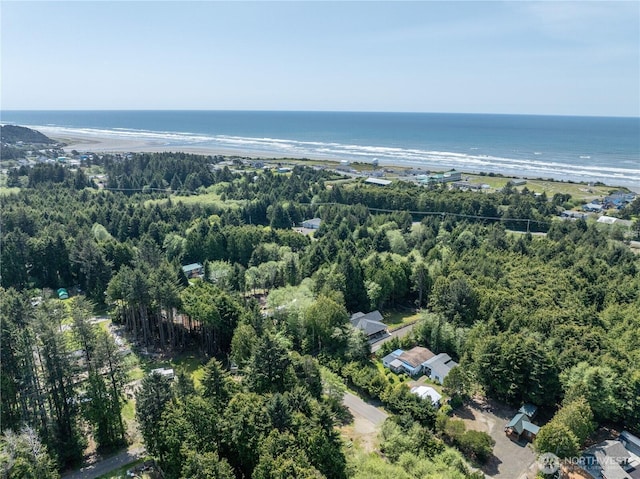 14 Holly Ln, Pacific Beach, WA 98571