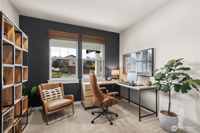 home office with carpet