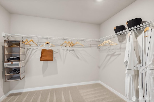 walk in closet with carpet floors