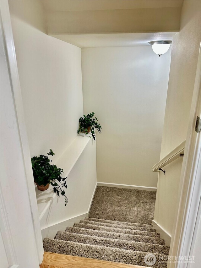 staircase with baseboards and carpet flooring