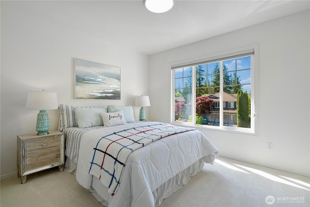 bedroom with carpet flooring