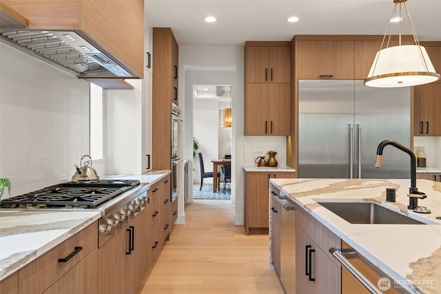 kitchen with appliances with stainless steel finishes, tasteful backsplash, a sink, premium range hood, and light wood-style flooring