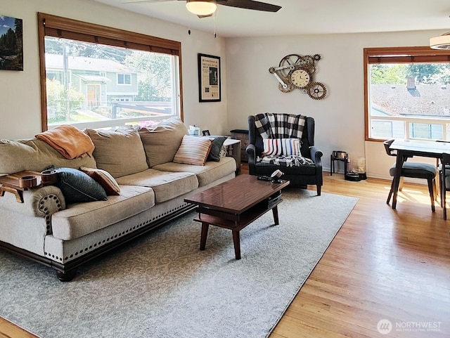 11515 7th Ave NE, Seattle, WA 98125 - living area with baseboards, a ceiling fan, and light wood finished floors