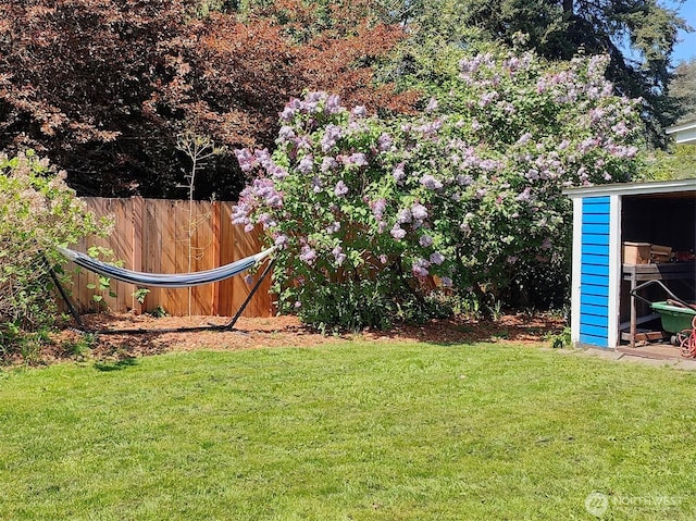 11515 7th Ave NE, Seattle, WA 98125 - view of yard featuring an outdoor structure, fence, and a storage shed